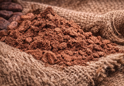 E-Commerce Platforms